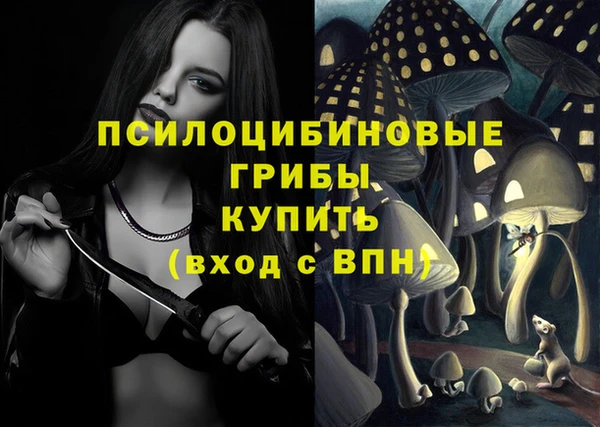круглые Арсеньев