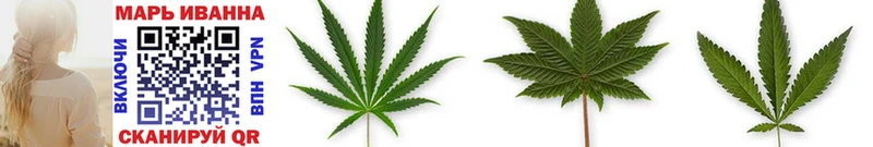 blacksprut ссылка  что такое   Арсеньев  Шишки марихуана OG Kush 